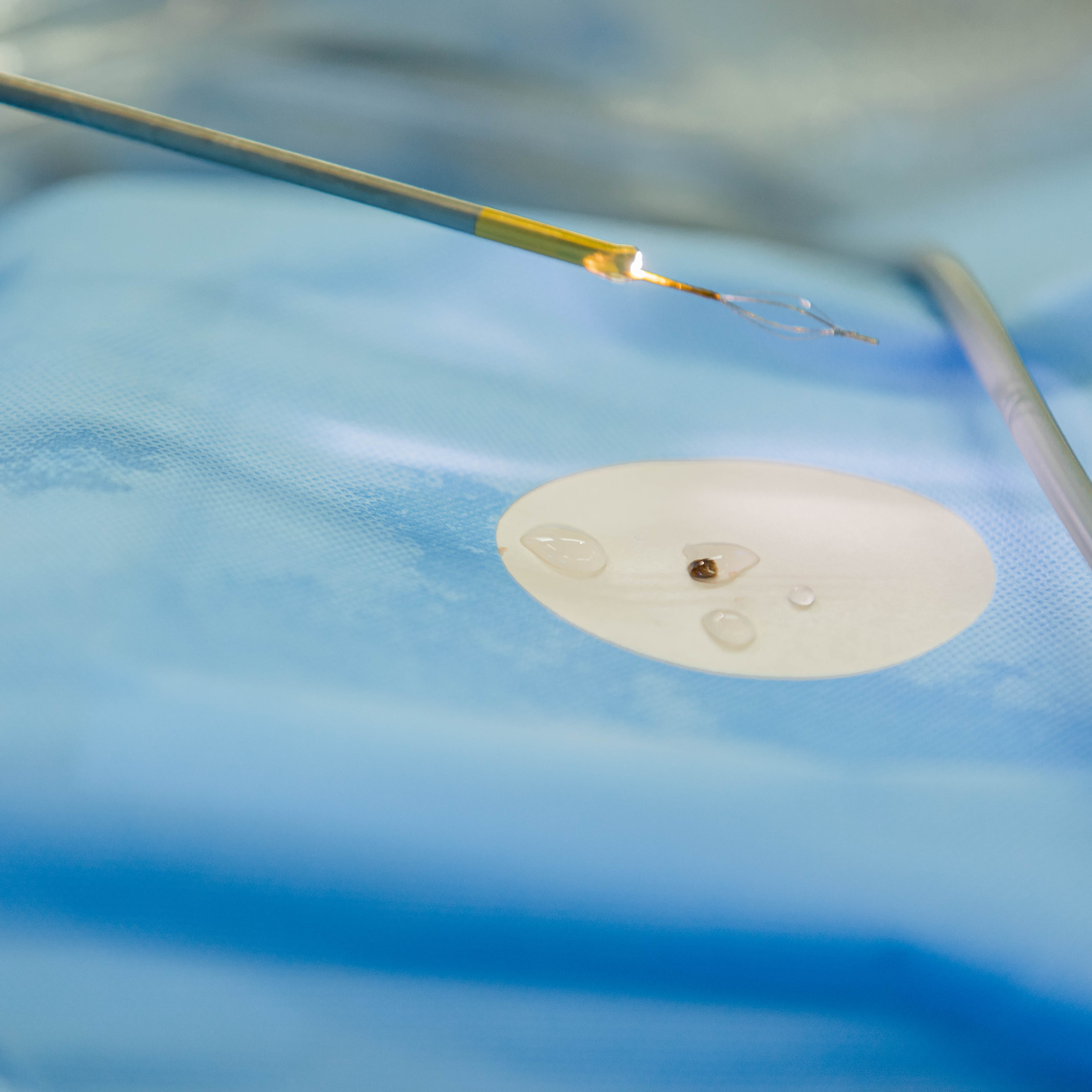 Endo-urologie